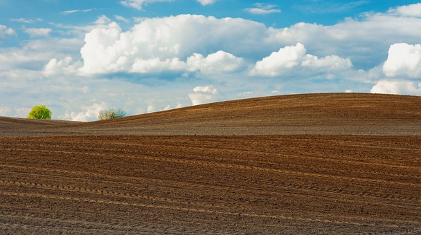 Rūgščių dirvų kalkinimui – iki 50 proc. kompensacija: paraiškos startuoja liepos 7 d.