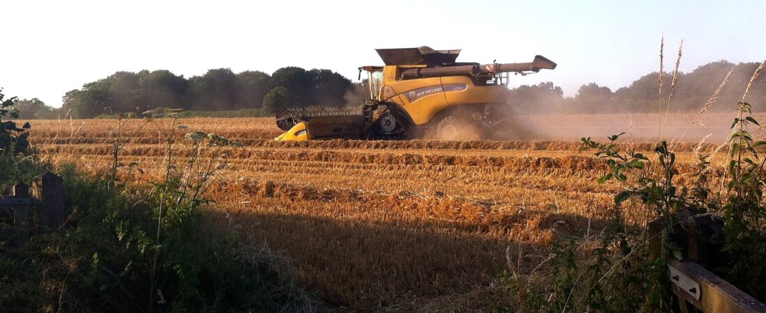 Joniškio rajone užfiksuotas žieminių kviečių rekordas – 9,8 t/ha